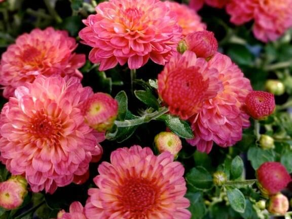 おはようございます