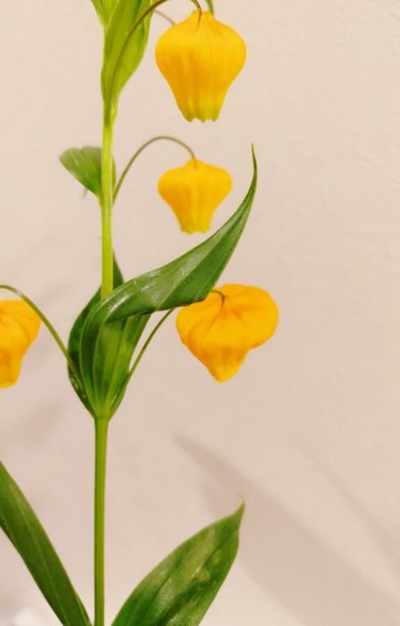 職場のトイレからは以上です♡