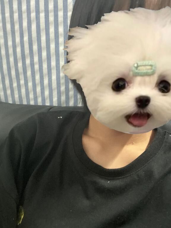 出勤してます♡