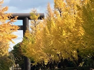 満喫&#10083;&#65039;