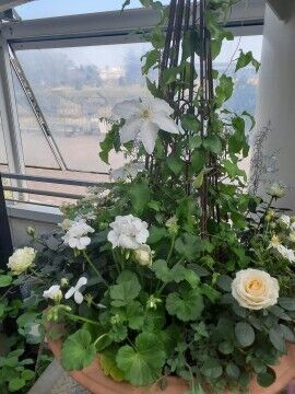 １８日火曜　Ｏ様　Love letter