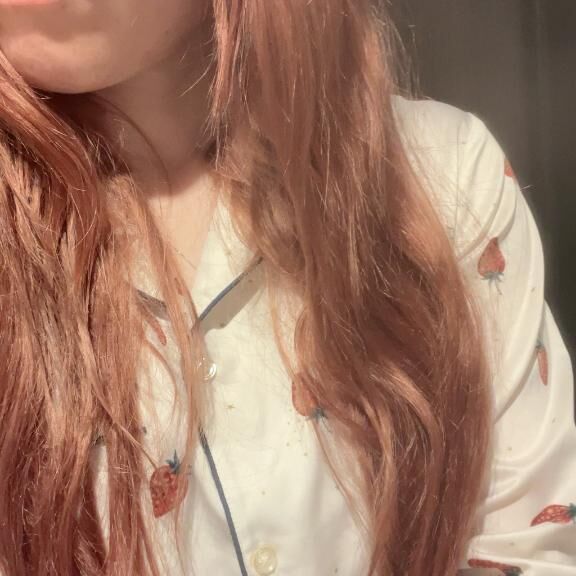 最近のマイブーム