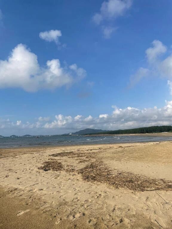 久しぶりにいるよー！