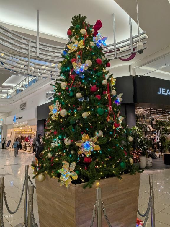 楽しみましたね