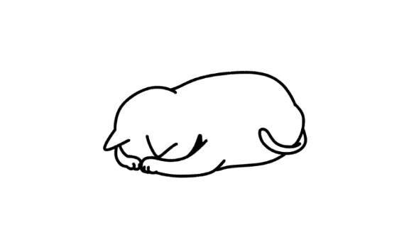 ごめんなさい！