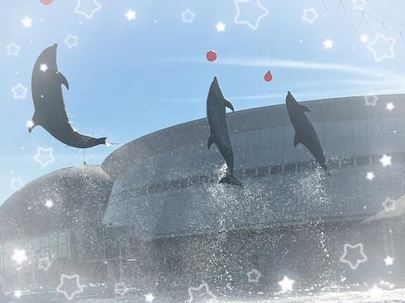 おはようございます♪