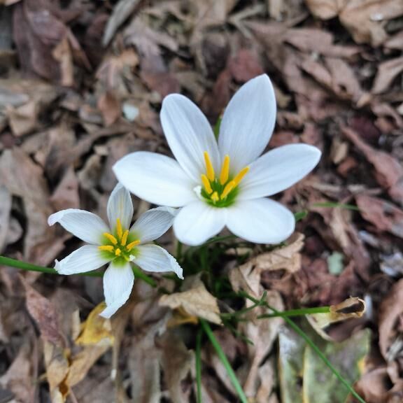 一気に寒くなりました