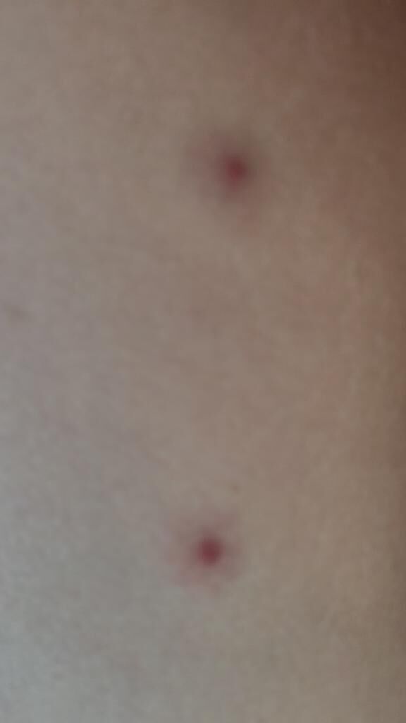 今日も♡聞いてよん