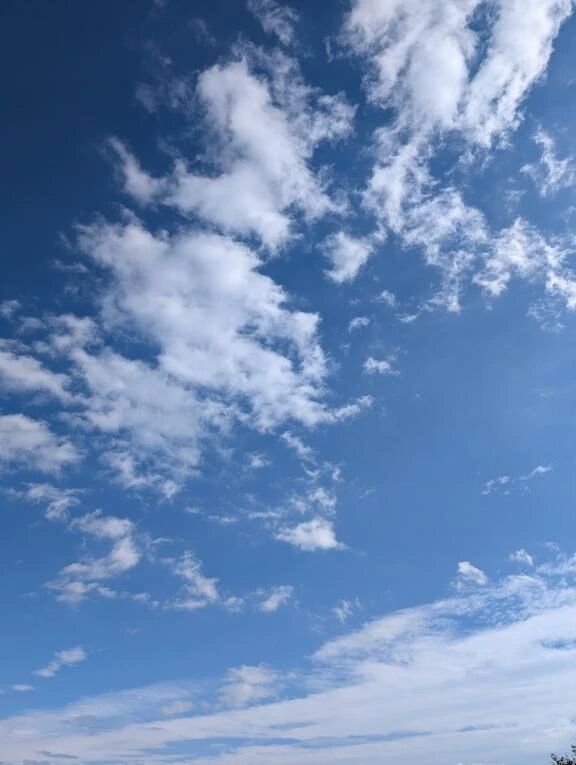 こんにちは&#x301C;