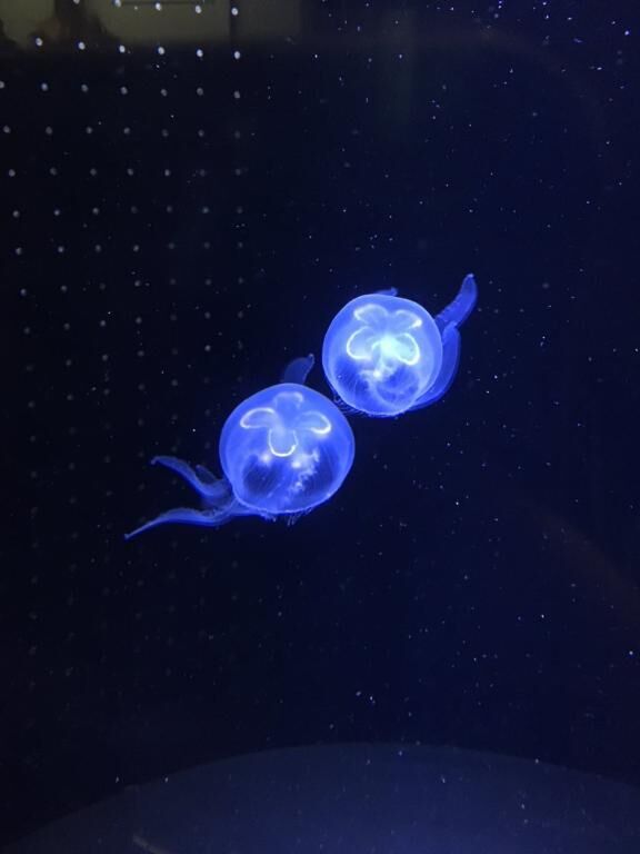 お礼日記&#9825;&#9825;