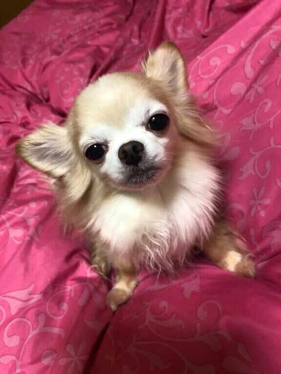 ご予約してくれてる、お兄さん&#9825;