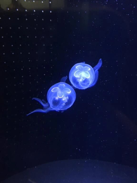 お礼日記&#128214;&#128149;