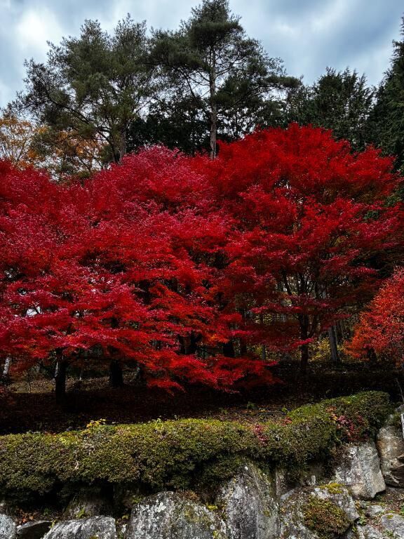 [お題]from:食べきれなかったさん