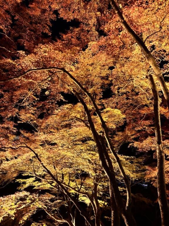 ♡ありがとう♡