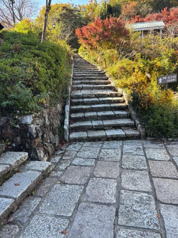 [お題]from:血でていたいおさん