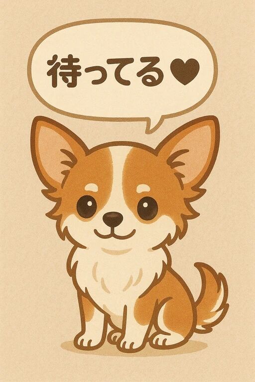 今日の状況☘️