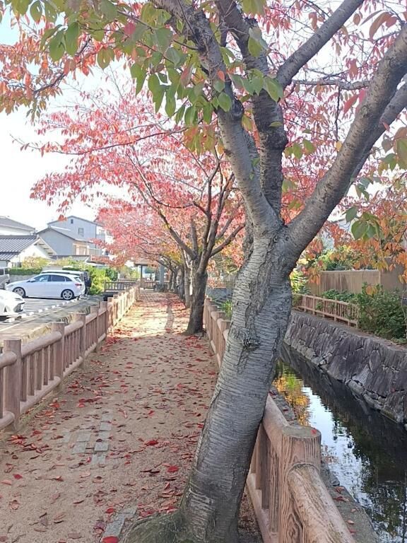 11月20日&#9825;&#9825;&#9825;