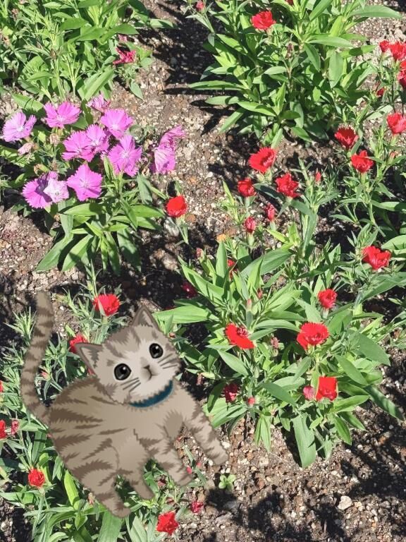 どんどんと……