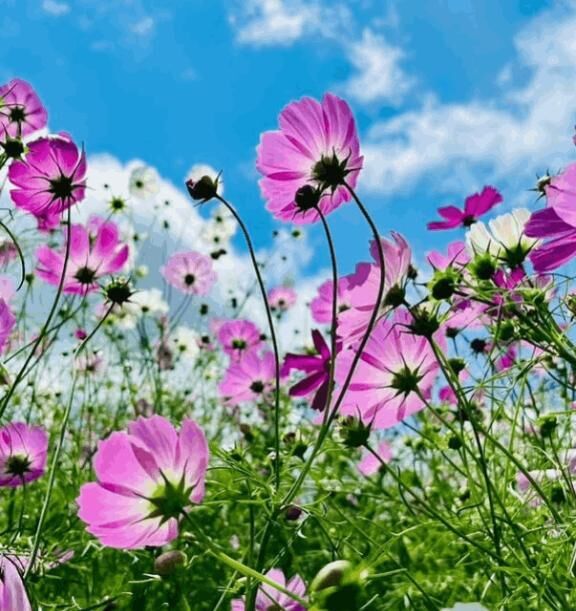 昨日のお礼&#9825;