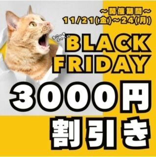 明日からブラックフライデー&#10083;