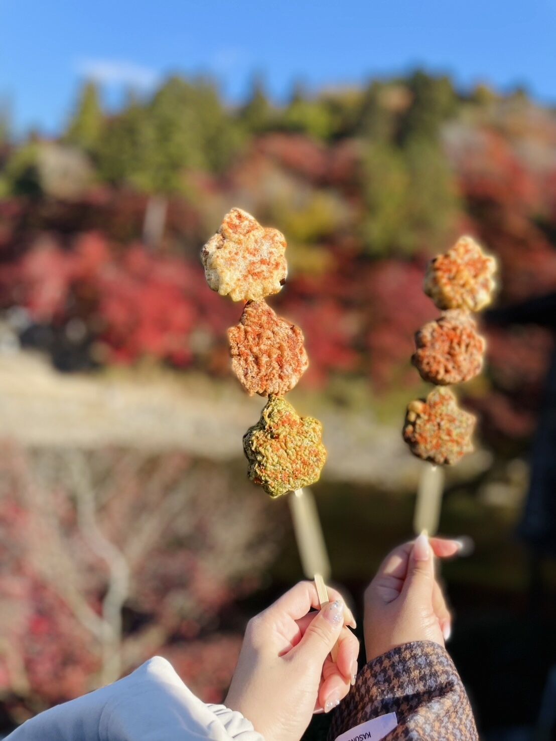 おやすみなさい