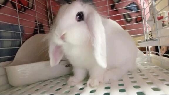 ネットショッピング!