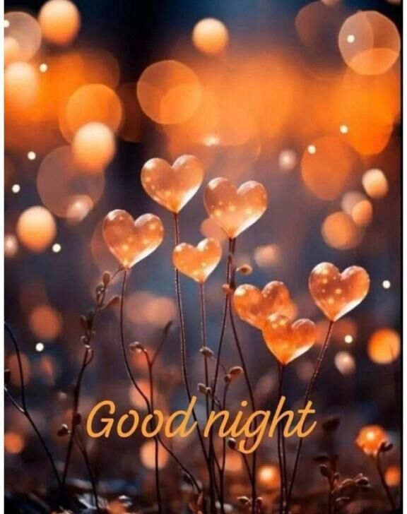 おやすみなさい