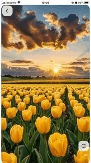 ありがとうございます&#9825;