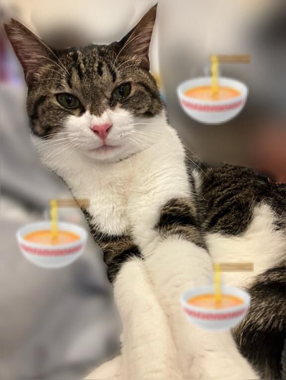 [お題]from:次郎さん