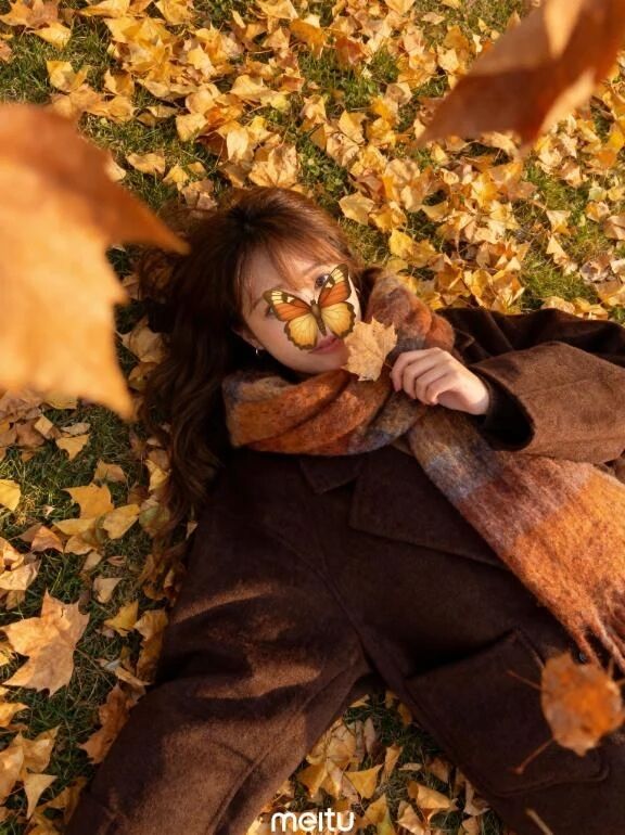 投票とキテネギフト