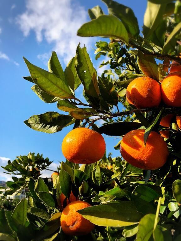 [お題]from:フルグラエンドレスさん