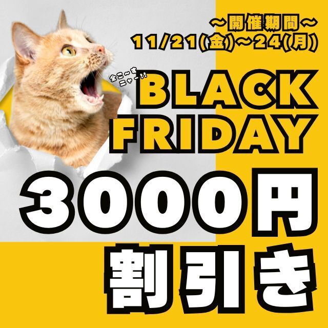 おはようございます