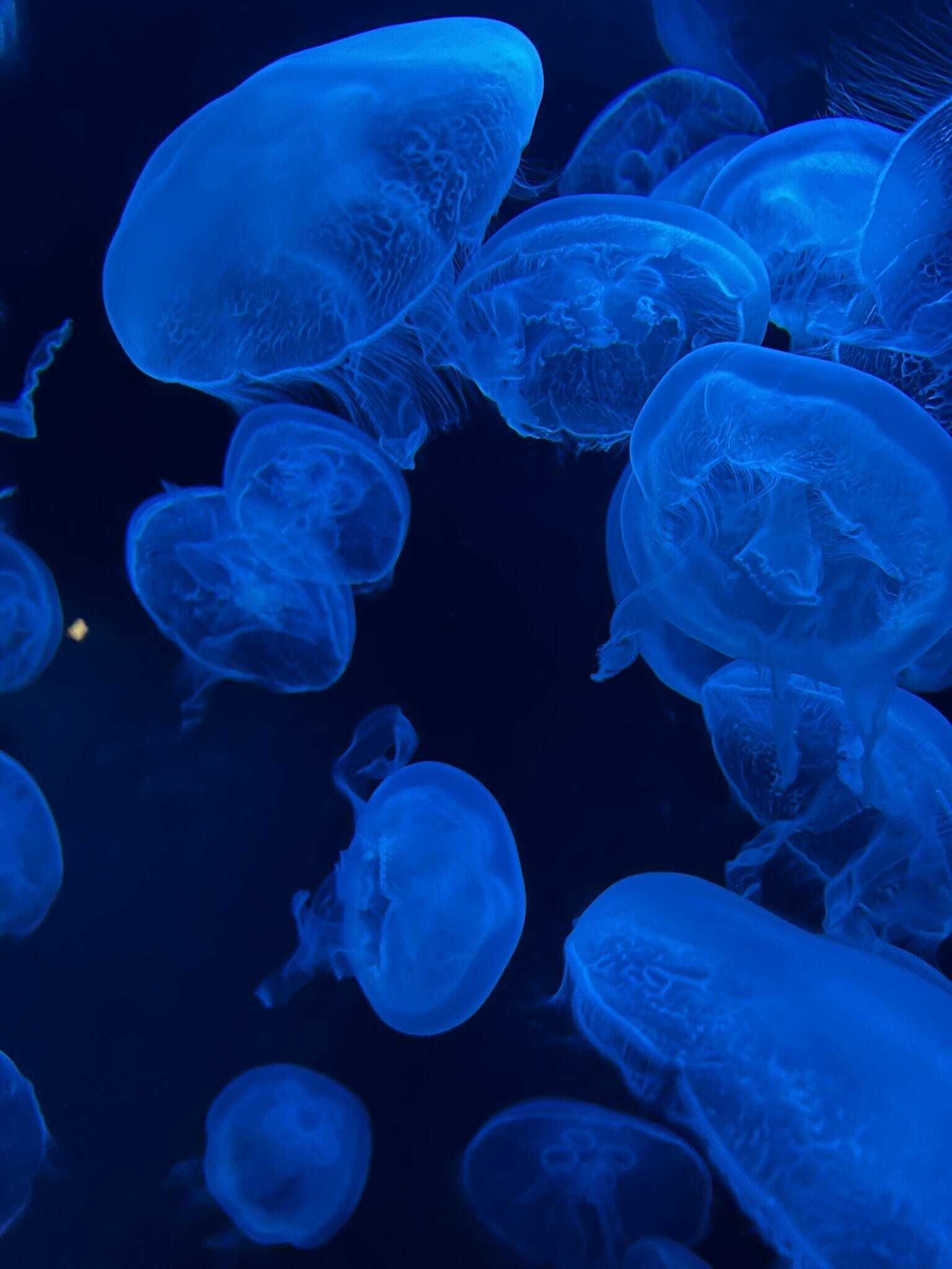 出勤するよん*.+゜遊びに来て下さい(ु&rsaquo;ω&lsaquo;)ु♡