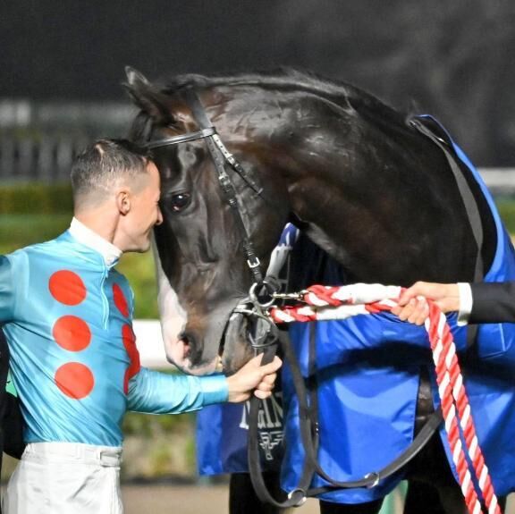 有馬記念❤️&zwj;