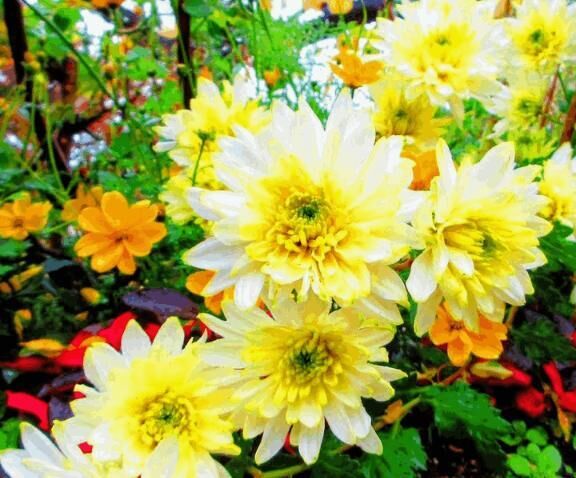 前日のお礼です&#9825;