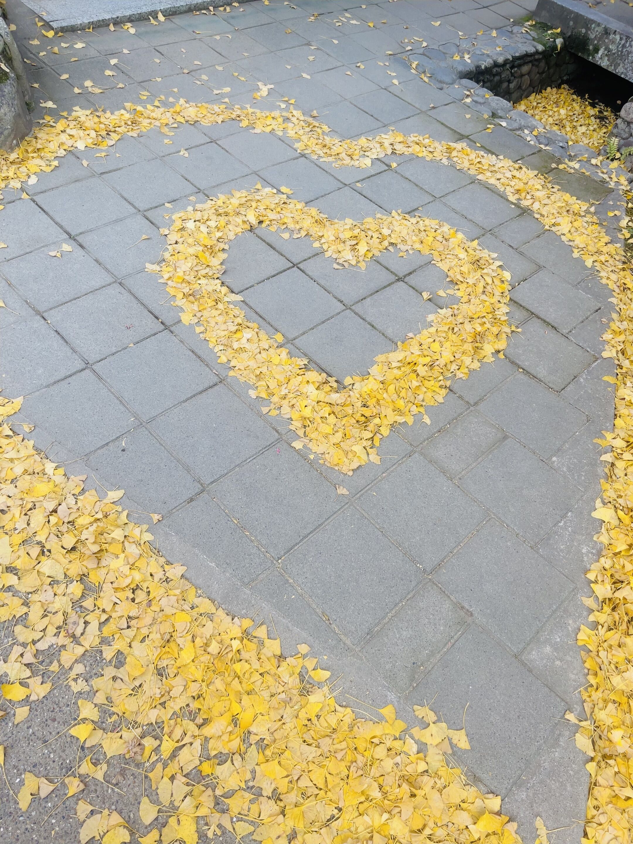 ありがとうございましたぁ♡