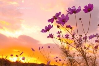 本日もありがとうございました