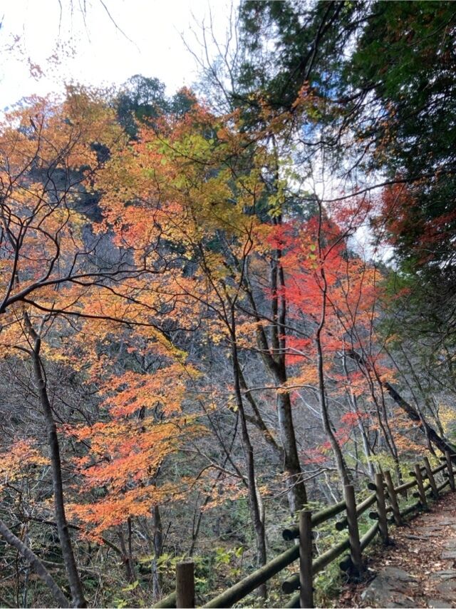 今回のテーマは初