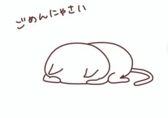 来週の予定について