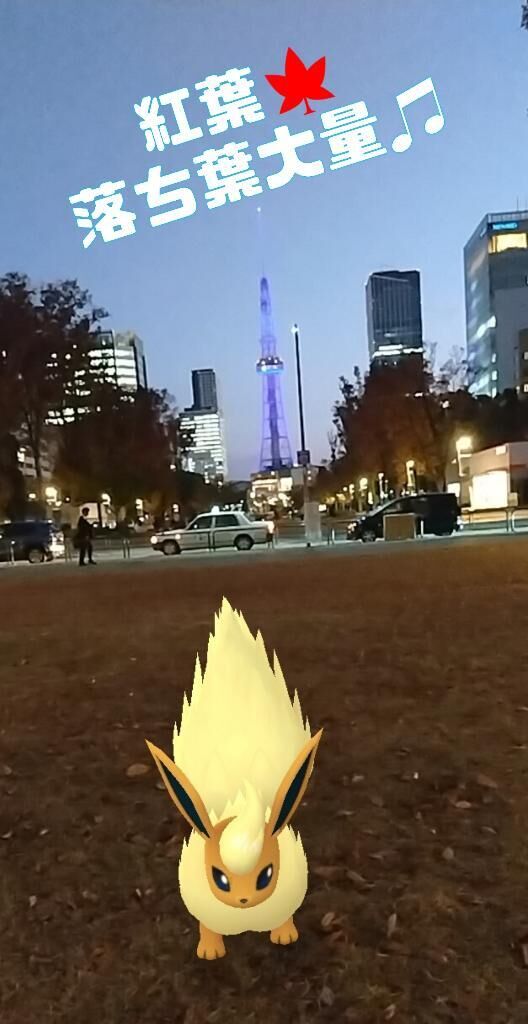 秋を感じる&#9825;