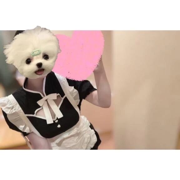 今日もありがとう