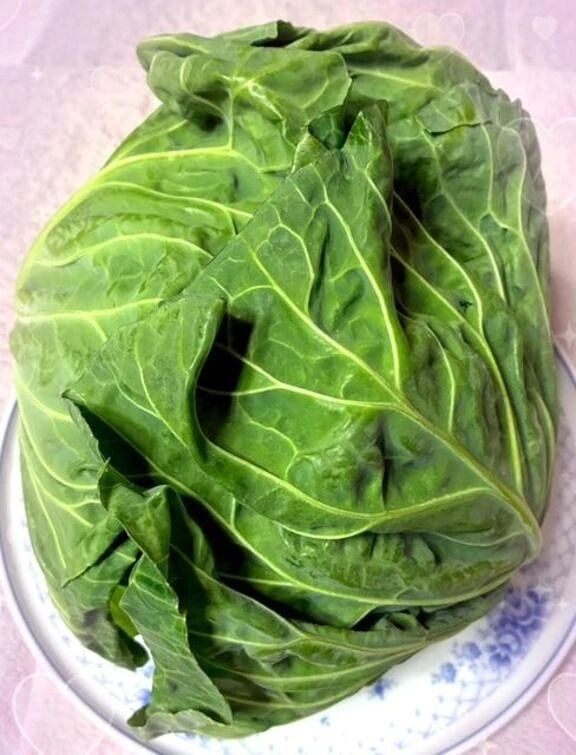 春キャベツ&#129388;