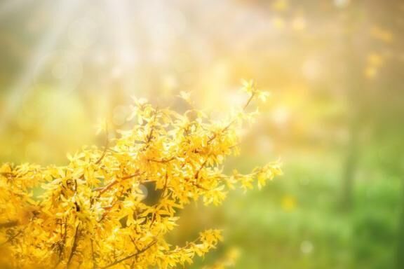 スタート・お礼