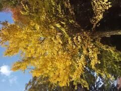 秋見つけた!!(^^♪