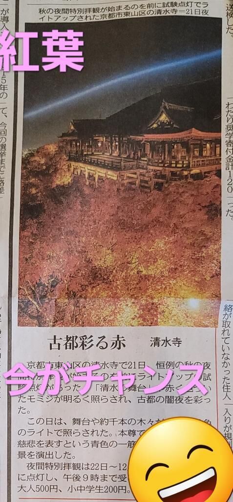 紅葉みにいこうよう♡♡♡♡♡♡♡♡♡♡♡♡♡♡♡♡♡♡♡♡♡♡♡♡♡♡♡♡♡