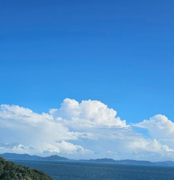 お昼のお礼&#x301C;♪