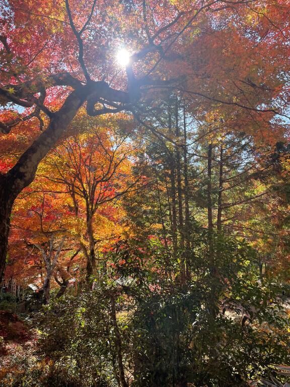 シフトだしたよ♡