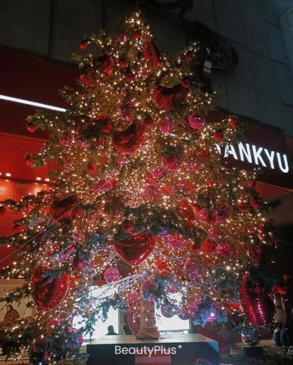 &lrm;懶ツリー﫶