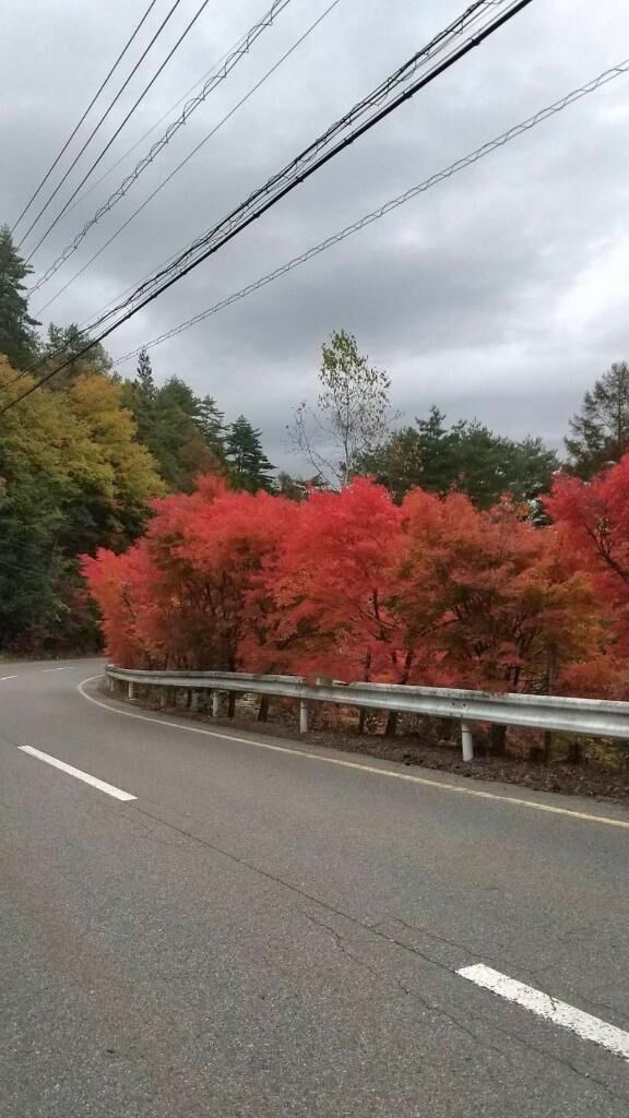 おはようございます✨️