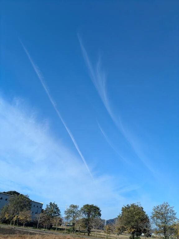 おはようございます